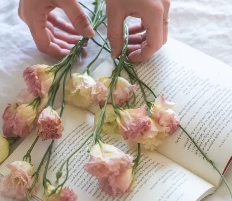 Best Teen Romance Books